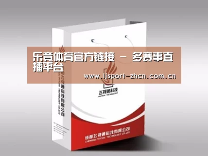 项目名称十三