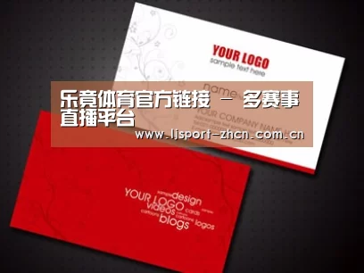 项目名称八