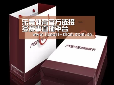 项目名称十二