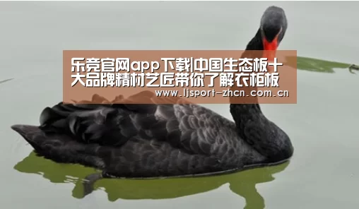乐竞体育赛事分析