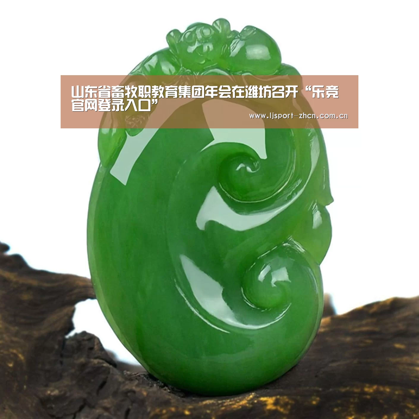 乐竞体育赛事分析