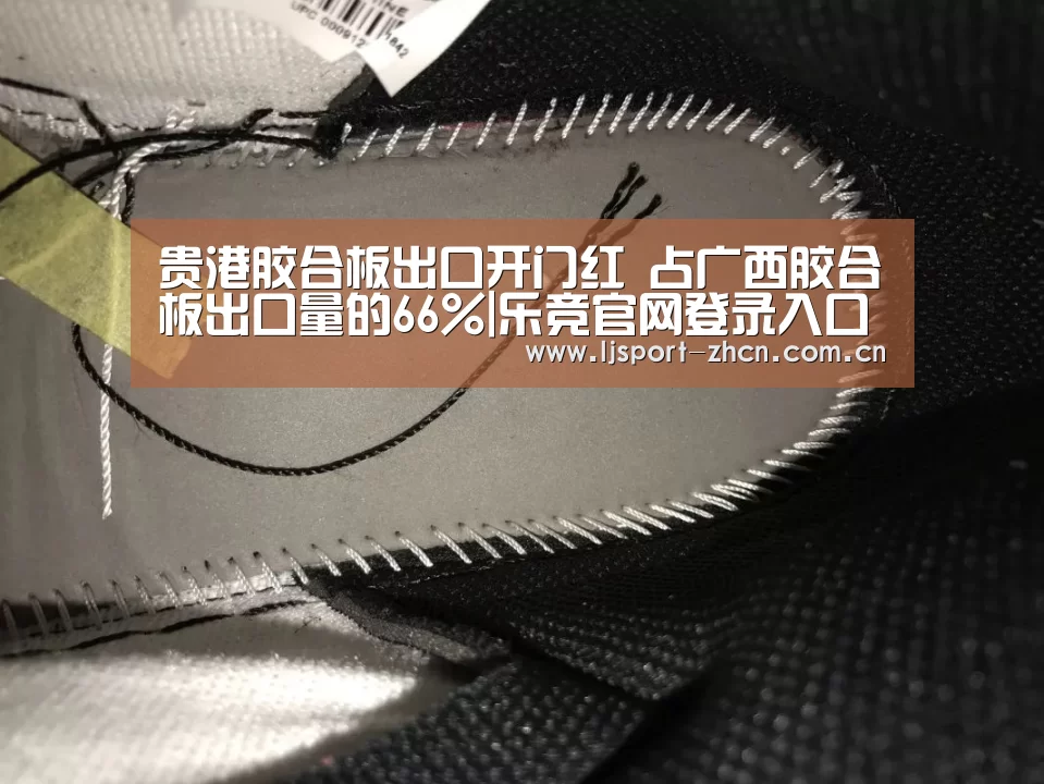 贵港胶合板出口开门红 占广西胶合板出口量的66%|乐竞官网登录入口(图3) 乐竞体育赛事分析