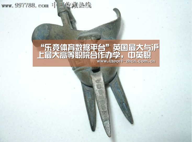 “乐竞体育数据平台”英国最大与沪上最大高等职院合作办学,中英职教委员会首个试点学院落地上海(图4) 乐竞体育数据平台
